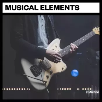 Big Room Sound Musical Elements WAV-FANTASTiC screenshot