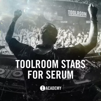 Toolroom Stabs For Serum-FANTASTiC screenshot