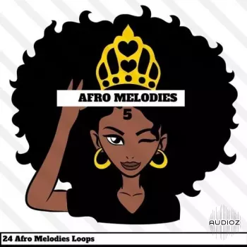 HOOKSHOW Afro Melodies 5 WAV-FANTASTiC screenshot