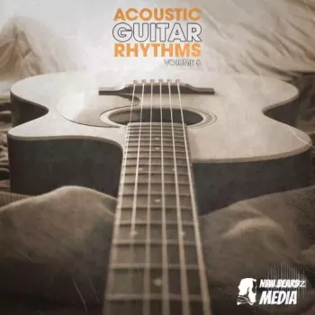 New Beard Media Acoustic Guitar Rhythms Vol 5 WAV-FANTASTiC screenshot