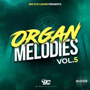 Big Citi Loops Organ Melodies Vol 5 WAV-FANTASTiC screenshot