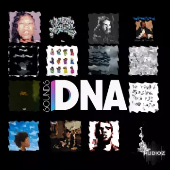 Billboard DNA Sounds DRAKE DNA Drumkit WAV screenshot