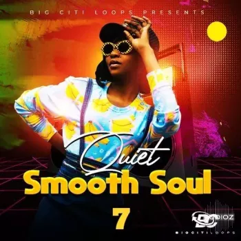 Big Citi Loops Quiet Smooth Soul 7 WAV-FANTASTiC screenshot