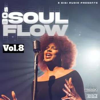 Innovative Samples 80's Soul Flow Vol.8 WAV-FANTASTiC screenshot