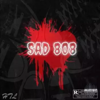 Dynasty Loops Sad 808 WAV-FANTASTiC screenshot