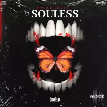 Dynasty Loops Souless WAV-FANTASTiC screenshot