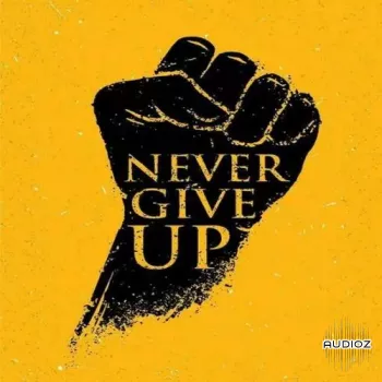 HOOKSHOW Never Give Up WAV-FANTASTiC screenshot