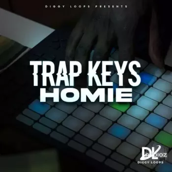 HOOKSHOW Trap Keys Homie WAV-FANTASTiC screenshot