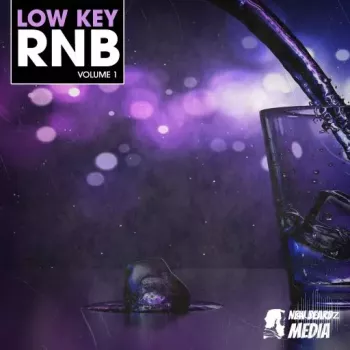 New Beard Media Low Key RnB Vol 1 WAV-FANTASTiC screenshot
