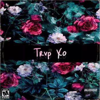 Dynasty Loops Trvp Xo WAV-FANTASTiC screenshot