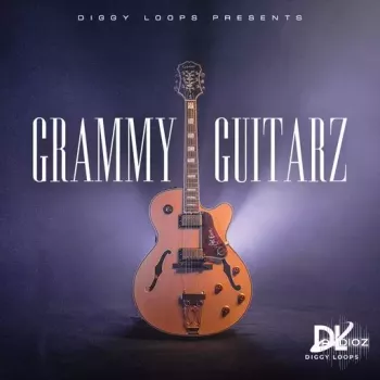 HOOKSHOW GRAMMY GUITARZ WAV-FANTASTiC screenshot