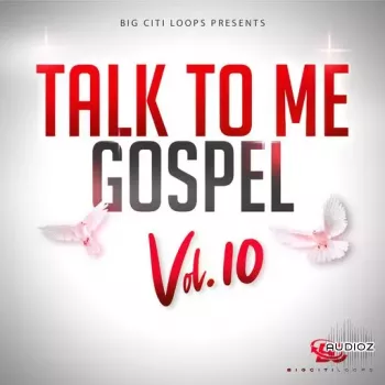 Big Citi Loops Talk To Me Gospel Vol.10 WAV-FANTASTiC screenshot