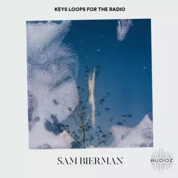 Sam Bierman Keys Loops For The Radio WAV-FANTASTiC screenshot