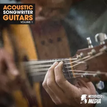 New Beard Media Acoustic Songwriter Guitars Vol 1 WAV-FANTASTiC screenshot