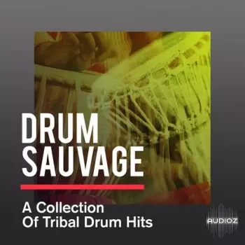 Sonicycle Sonicycle - Drum Sauvage - A Collection Of Tribal Drum Hits WAV-FANTASTiC screenshot