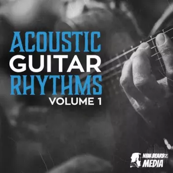 New Beard Media Acoustic Rhythm Guitars Vol 1 WAV-FANTASTiC screenshot