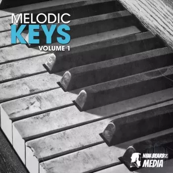 New Beard Media Melodic Keys Vol 1 WAV-FANTASTiC screenshot
