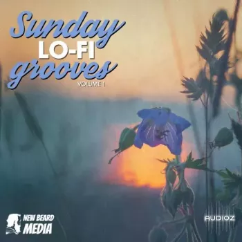 New Beard Media Sunday Lo Fi Grooves Vol 1 WAV-FANTASTiC screenshot