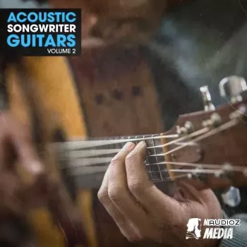 New Beard Media Acoustic Songwriter Guitars Vol 2 WAV-FANTASTiC screenshot