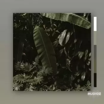 MarcDBeats Tres WAV screenshot