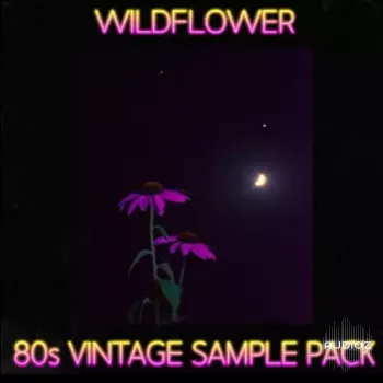 Sound Planet Wildflower 80s Sample Pack WAV screenshot