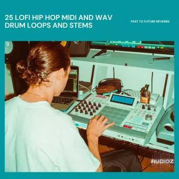 PastToFutureReverbs 25 LoFi Hip Hop MIDI and WAV Drum Loops and Stems! WAV MiDi screenshot