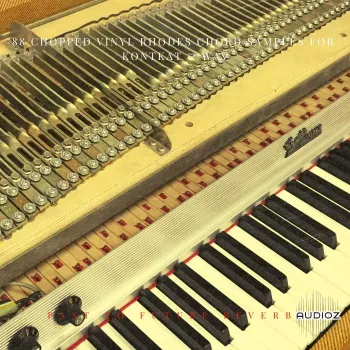 PastToFutureReverbs 88 Chopped Vinyl Rhodes Chord Samples for KONTAKT WAV screenshot