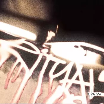 HITGIRL "RITUAL" Serum Bank WAV MiDi XFER RECORDS SERUM-FANTASTiC screenshot