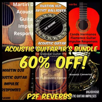 PastToFutureReverbs Acoustic Guitar IR's BUNDLE! Impulse Responses (IRs) WAV screenshot