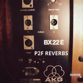 PastToFutureReverbs AKG BX22E Spring Reverb! Impulse Responses (IRs) WAV screenshot
