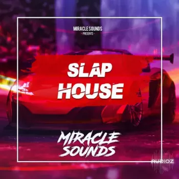 Miracle Sounds Slap House WAV MiDi XFER RECORDS SERUM-FANTASTiC screenshot