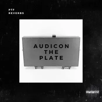 PastToFutureReverbs Audicon "The Plate“ Tennessee Reverb IR’s! Impulse Responses (IRs) WAV screenshot