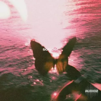 BSIDES Sonder WAV-FANTASTiC screenshot