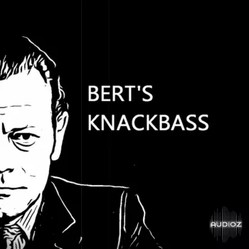 PastToFutureReverbs Bert's Knackbass For KONTAKT screenshot