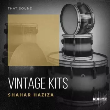 That Sound Vintage Kits WAV-FANTASTiC screenshot