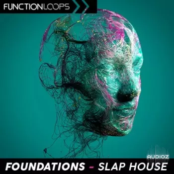 Function Loops Foundations Slap House WAV-FANTASTiC screenshot