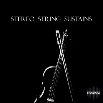 Beautiful Void Audio Stereo String Sustains for Kontakt screenshot