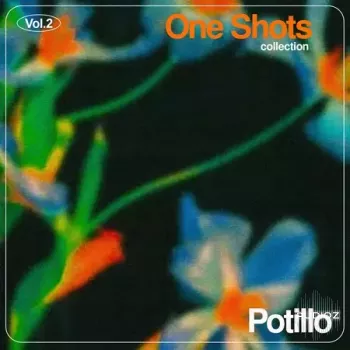 Potillo One Shot Collection Vol. 2 WAV-FANTASTiC screenshot