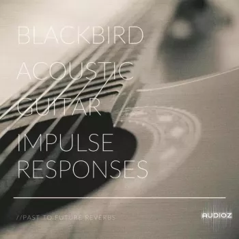 PastToFutureReverbs Blackbird Acoustic Guitar Impulse Responses (IRs) WAV screenshot