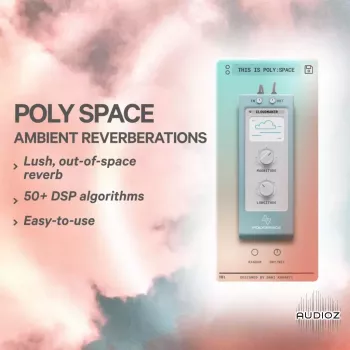Karanyi Sounds Poly Space v1.1.1-TeamCubeadooby screenshot