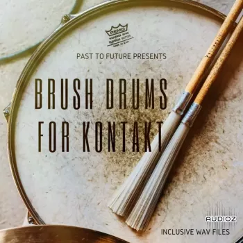 PastToFutureReverbs Brush Drums For KONTAKT WAV screenshot