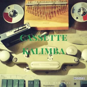 PastToFutureReverbs Cassette Kalimba for KONTAKT & WAV screenshot