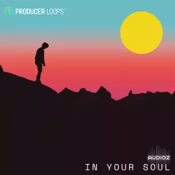 Producer Loops In Your Soul MULTIFORMAT screenshot