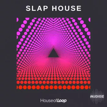 REQ: HouseOfLoop Slap House Sample Pack screenshot