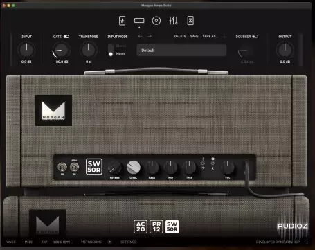 REQ: Neural DSP Morgan Amp Suite screenshot REQ: Neural DSP Morgan Amp Suite screenshot