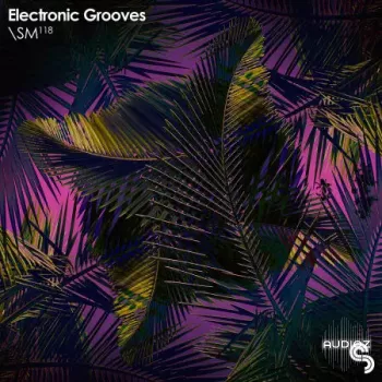 Sample Magic Electronic Grooves WAV-FANTASTiC screenshot