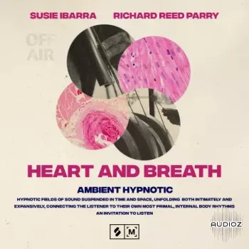 Montage by Splice Heart and Breath: Ambient Hypnotic WAV screenshot