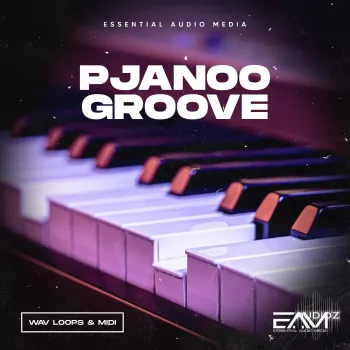 Essential Audio Media Pjanoo Groove Wav Midi screenshot