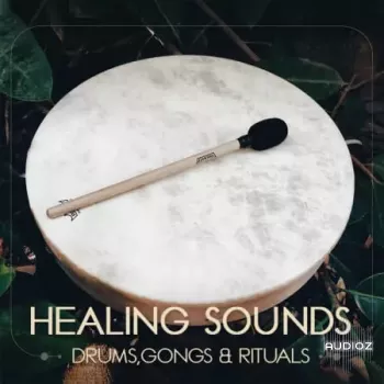Gio Israel Healing Sounds - Drums, Gongs and Rituals WAV-FANTASTiC screenshot