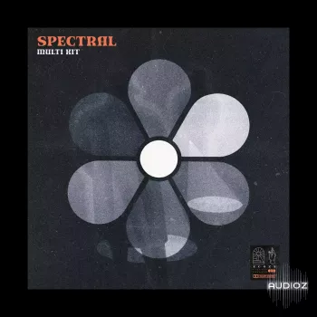 Zcozy Spectral Multi Kit WAV Analog Lab Bank-FANTASTiC screenshot